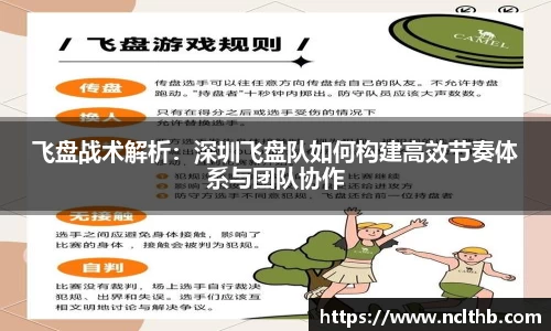 飞盘战术解析：深圳飞盘队如何构建高效节奏体系与团队协作